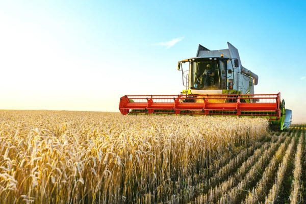 Tractor harvesting on field